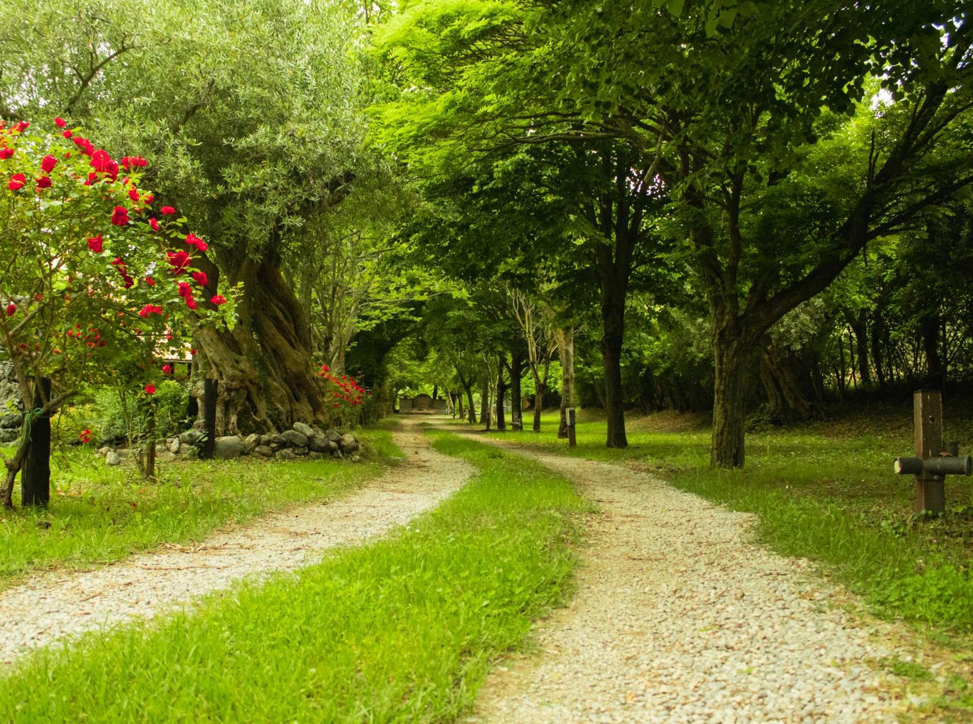 Ciclopark Morano Calabro别墅 外观 照片